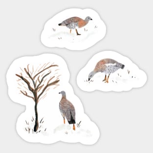 Hand painted ducks in a natural winter wonderland Sticker